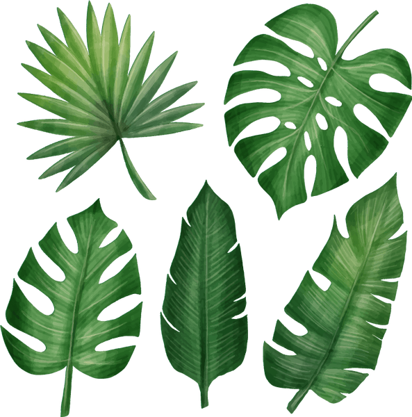 Jungle Leaf PNG