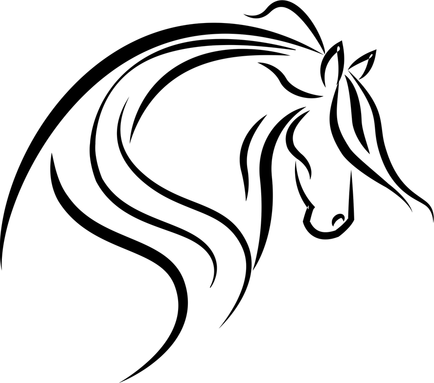 Horse Head PNG