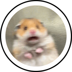 Hamster PNG