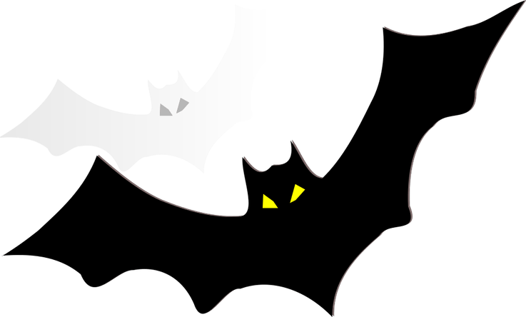 Black Bats PNG