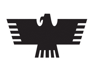 Huelga Bird PNG