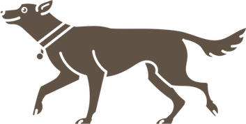Walking Dog PNG