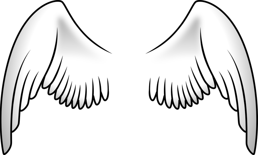 Cartoon Wings PNG