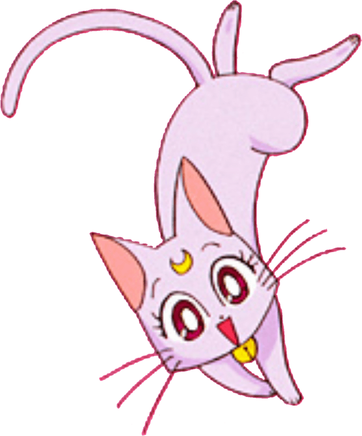 Sailor Moon Cat PNG
