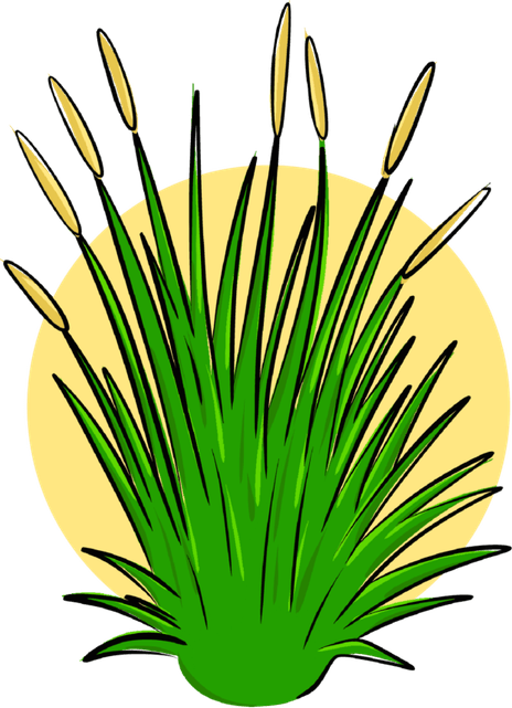 Tall Grass PNG