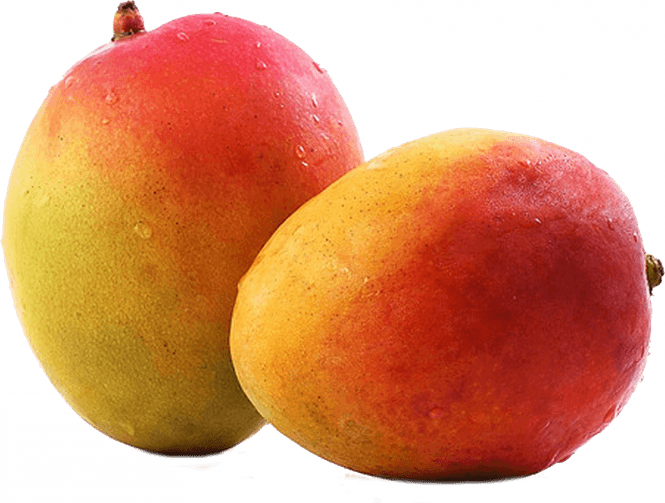 Mangosteen PNG