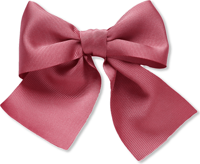 Big Bow PNG