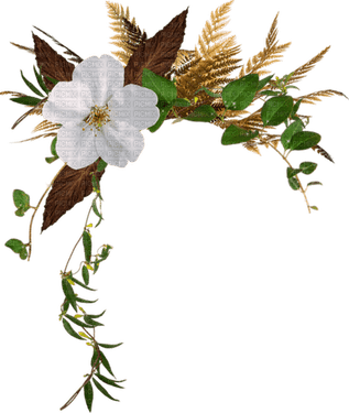 Fall Flower PNG