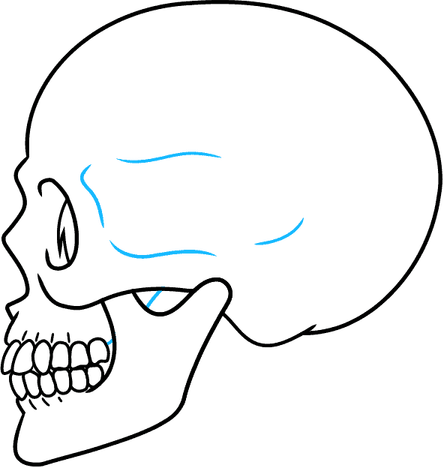 Skull Drawing PNG