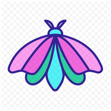 Moth PNG