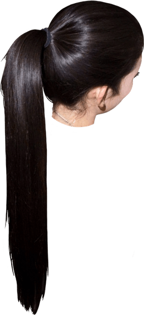 Ponytail PNG