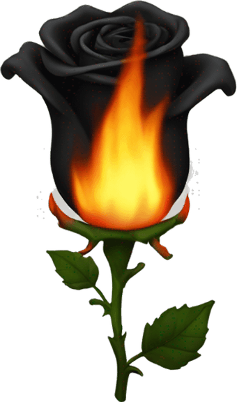 Burning Rose PNG