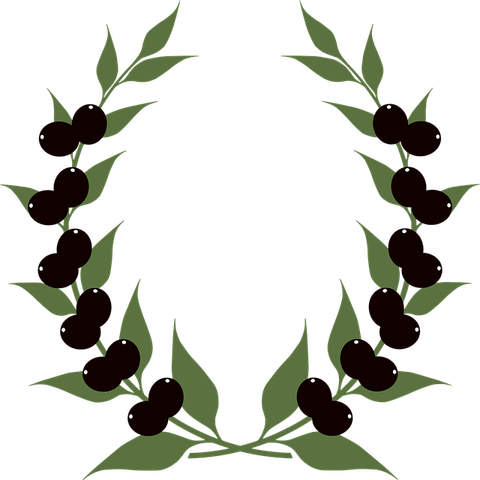 Olive Branch Circle PNG