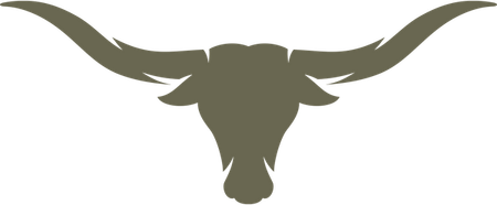 Longhorn Skull PNG