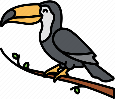 Rhinoceros Hornbill PNG
