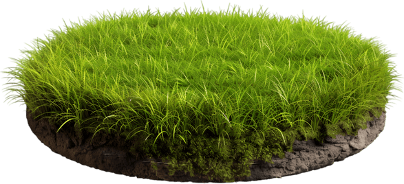 Patch Of Grass PNG