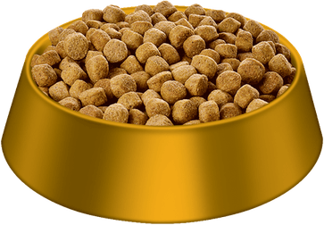 Dog Food PNG