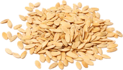 Seeds PNG