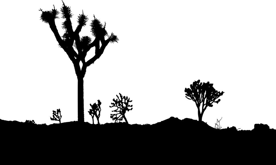 Joshua Tree PNG