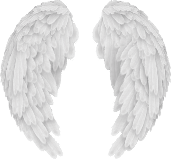 Angel Wings PNG