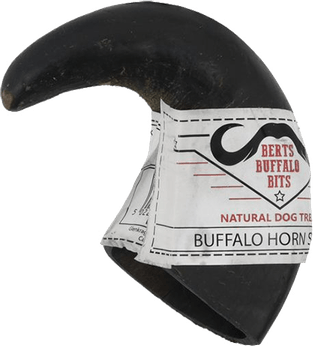 Buffalo Horns PNG