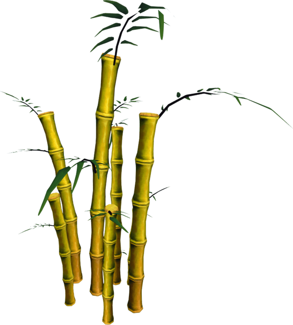 Bamboo Tree PNG