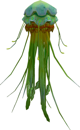 Jelly Fish PNG