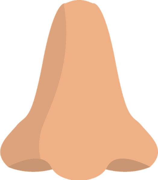 Nose Emoji PNG