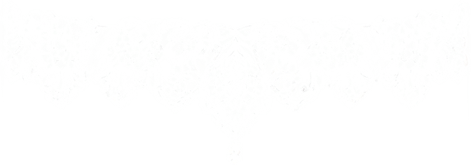 White Lace Border PNG