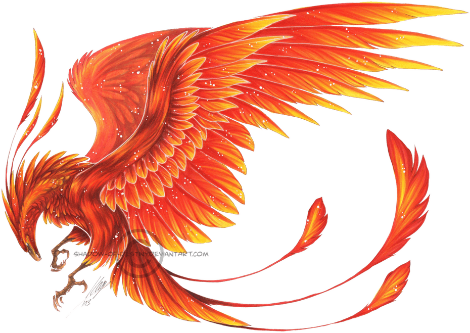 Phoenix Bird PNG