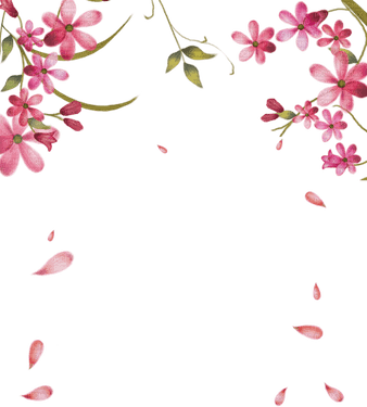 Pink Flowers Border PNG