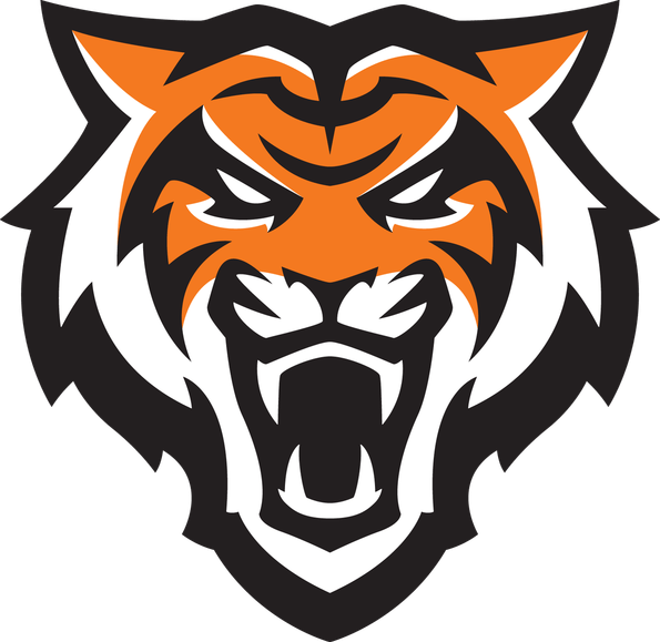 Bengals Logo PNG