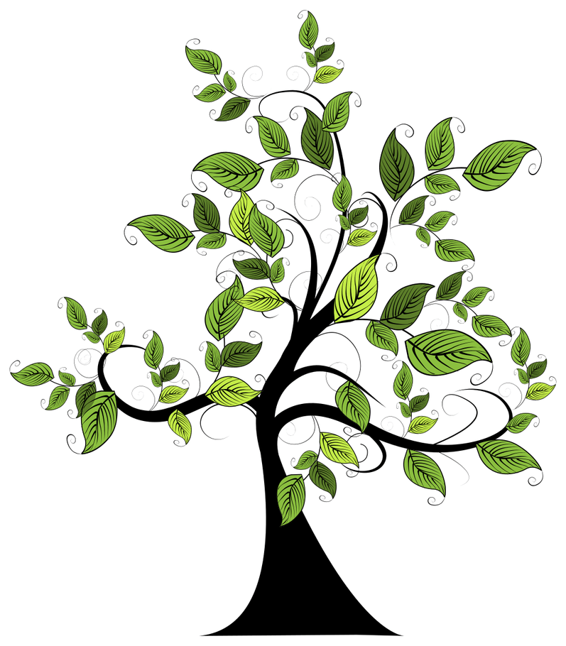 Tree Sticker PNG
