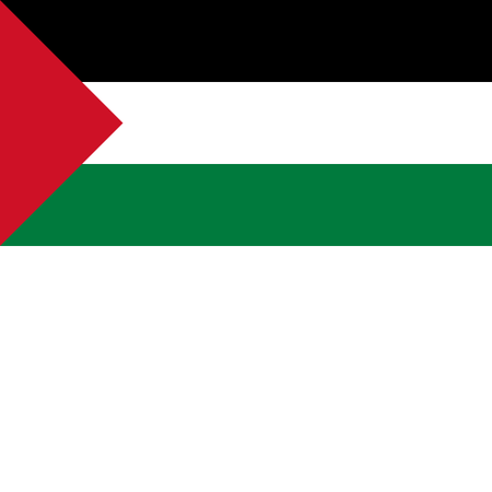 Palestine Flag PNG