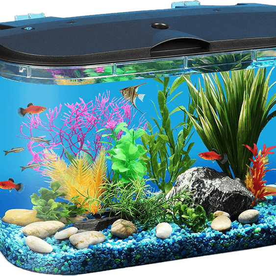 Aquarium Fish Tank PNG