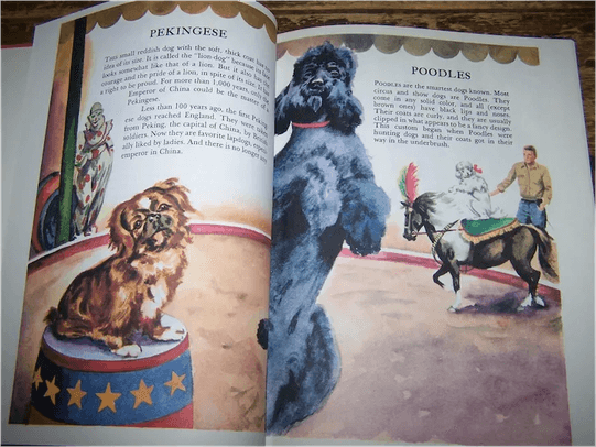 Vintage Book PNG
