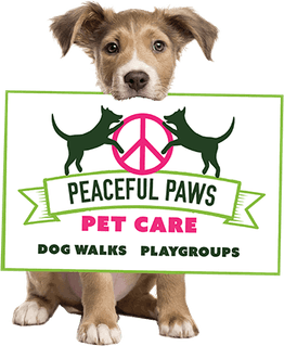 Paws PNG