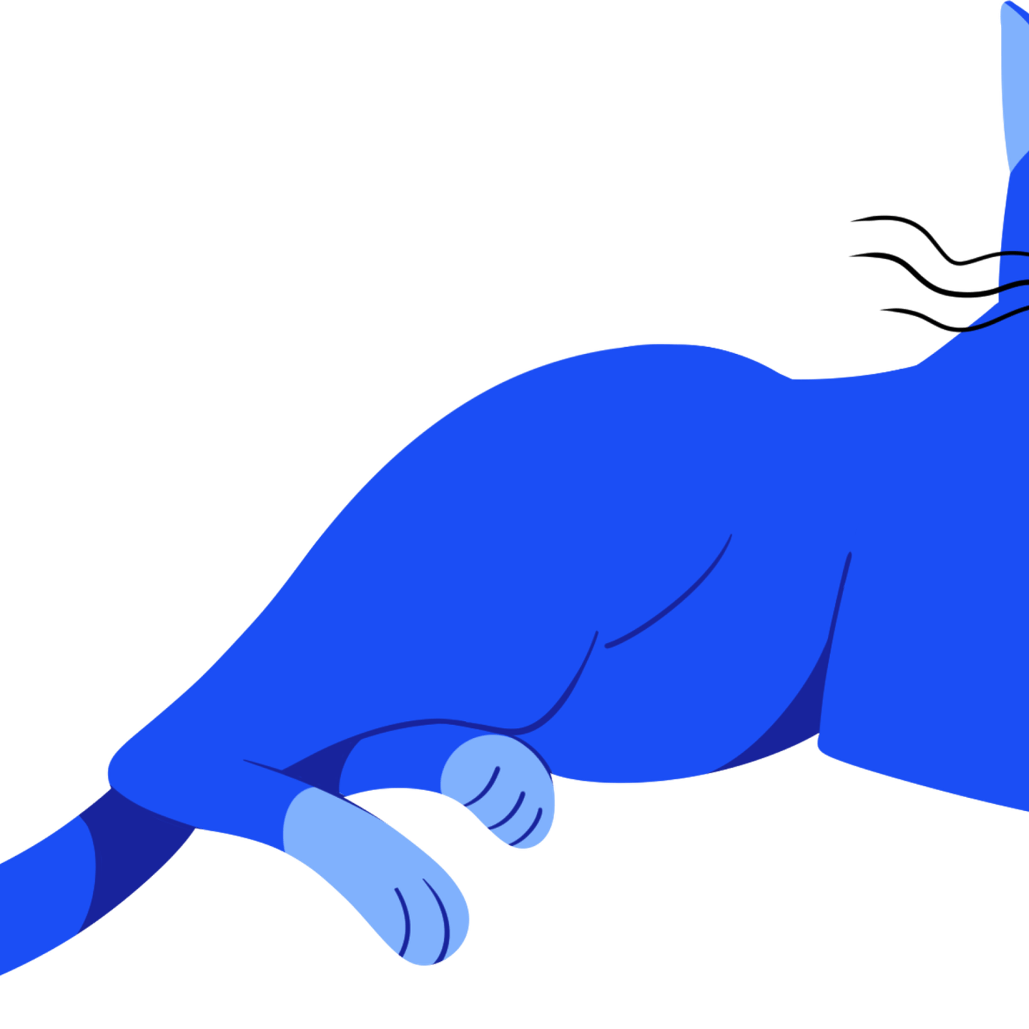 Dark Bird PNG