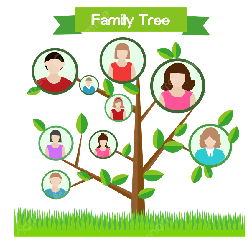 Family Tree PNG