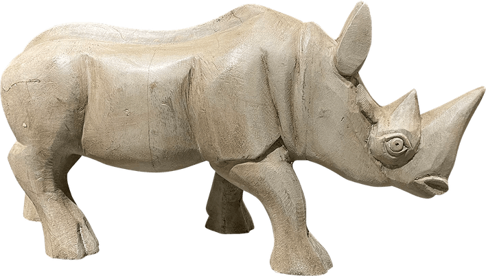 Baby Rhino PNG