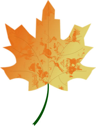 Autumn Leaf PNG