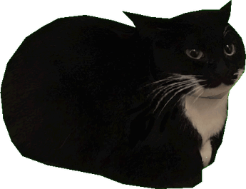 Maxwell The Cat PNG