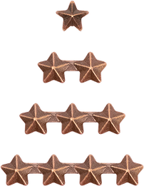Bronze Star PNG