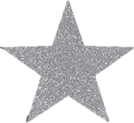 Silver Glitter Star PNG