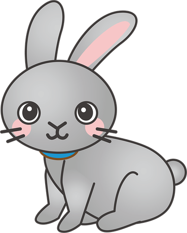 Cartoon Bunny PNG