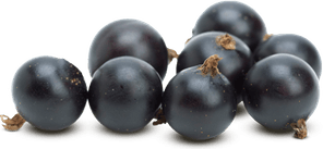 Blackcurrant PNG