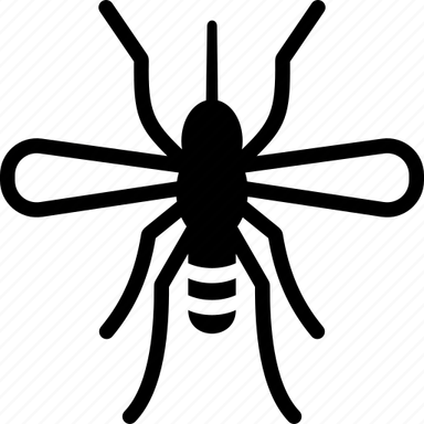 Crane Fly PNG