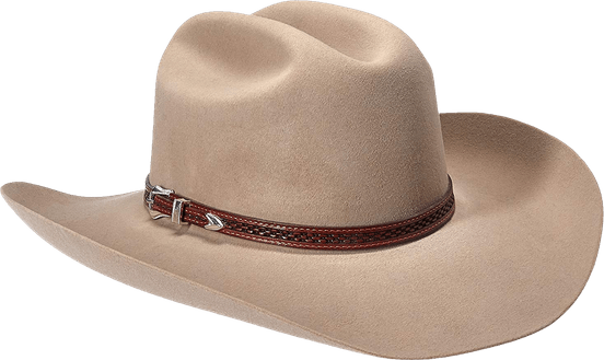 Mexican Cowboy Hat PNG