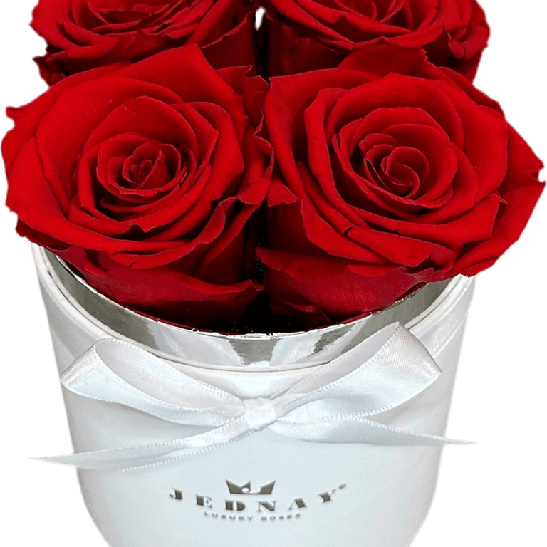 Infinity Rose PNG