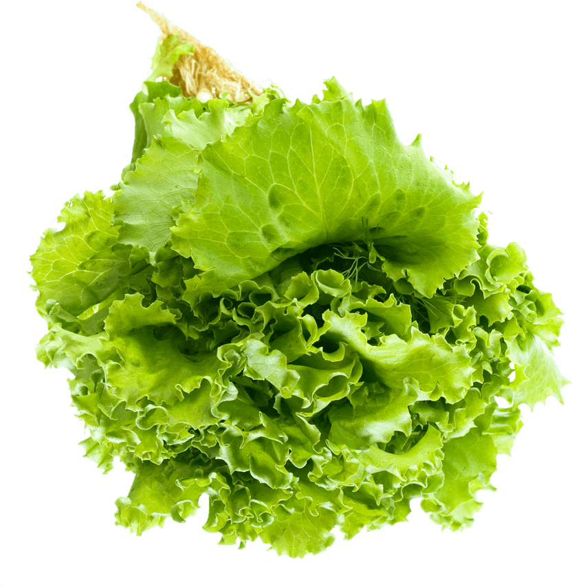 Lettuce PNG